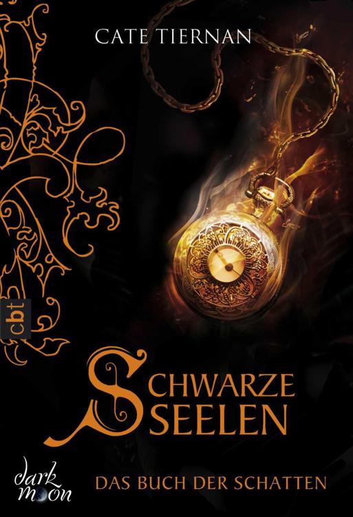 Das Buch der Schatten - Schwarze Seelen: Band 7 (German Edition)