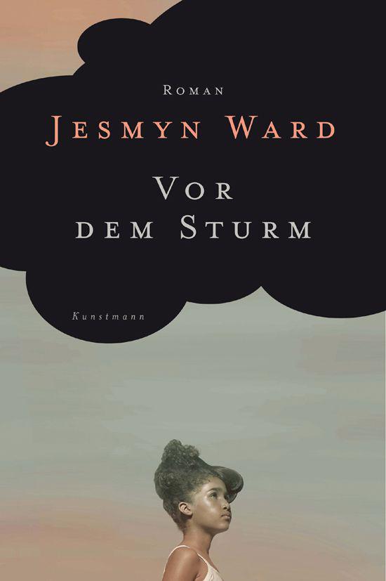Vor dem Sturm (German Edition)