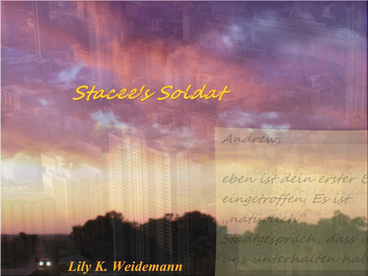 Stacee's Soldat (German Edition)