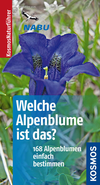 Welche Alpenblume ist das?: 168 Alpenblumen einfach bestimmen
