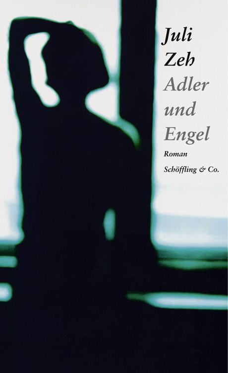Adler und Engel (German Edition)
