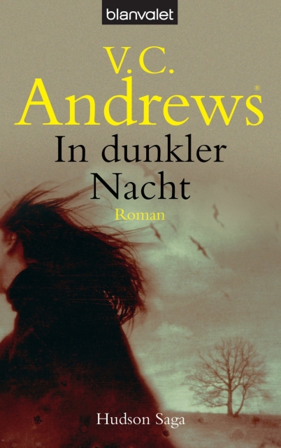 Die Hudson Saga 02 - In dunkler Nacht