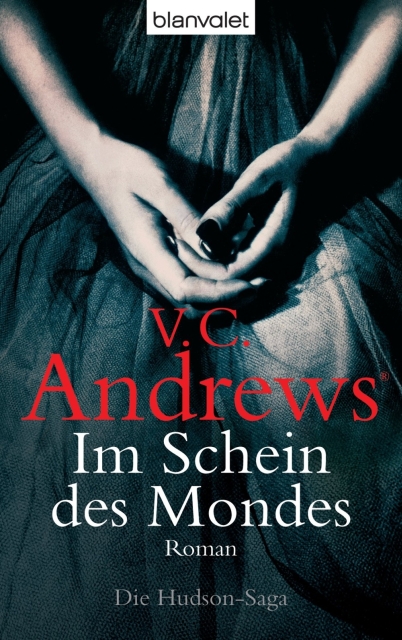 Die Hudson Saga 04 - Im Schein des Mondes
