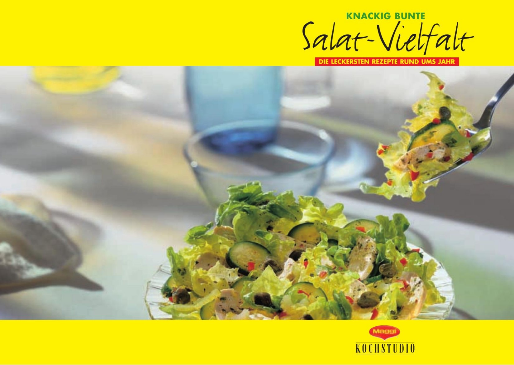 Maggi - Kochbuch (Salat Vielfalt)