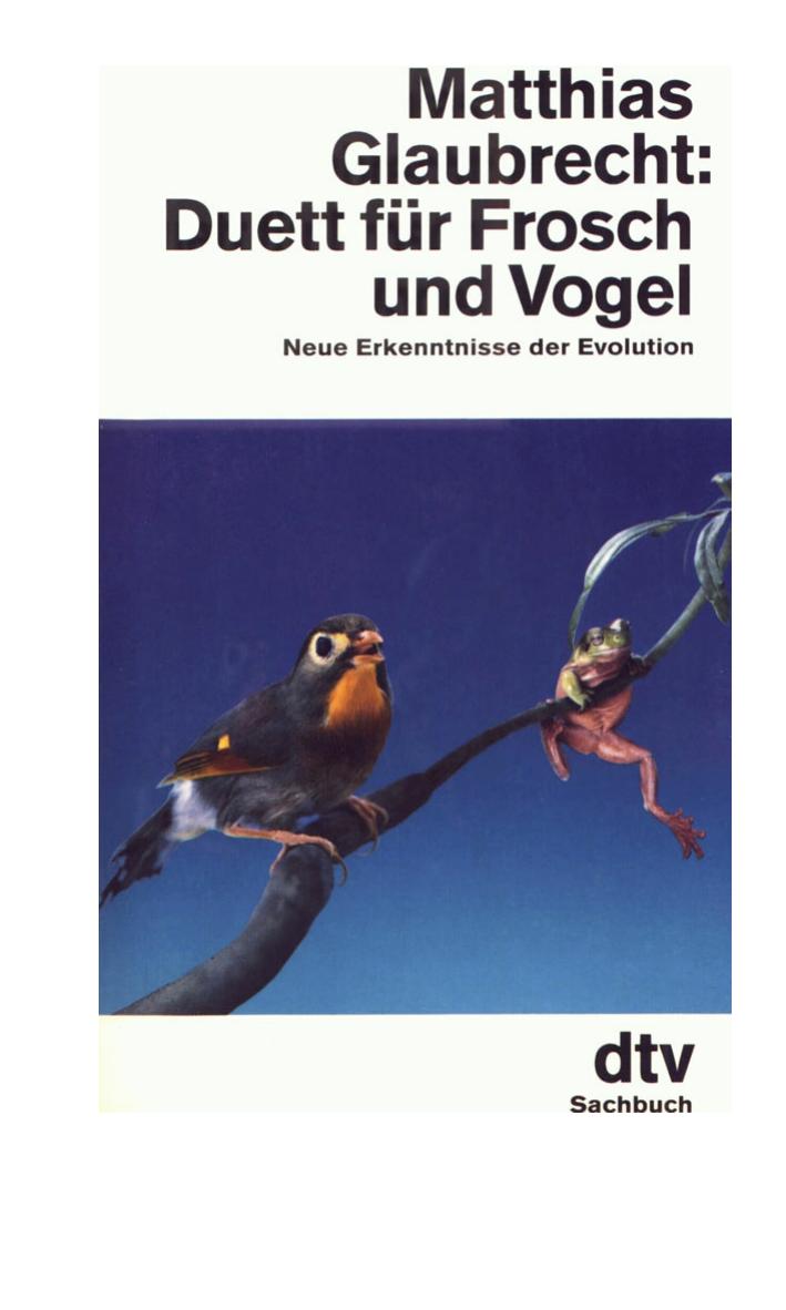 Frosch und Vogel