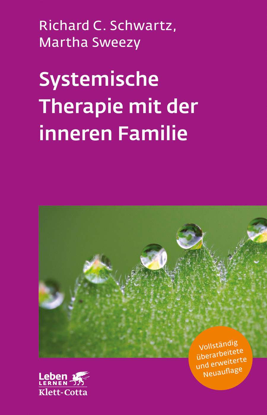 Systemische Therapie mit der inneren Familie