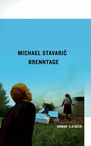 Brenntage - Roman