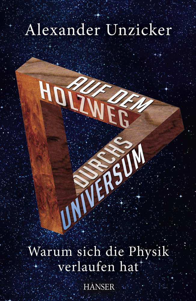 Auf dem Holzweg durchs Universum: Warum sich die Physik verlaufen hat (German Edition)