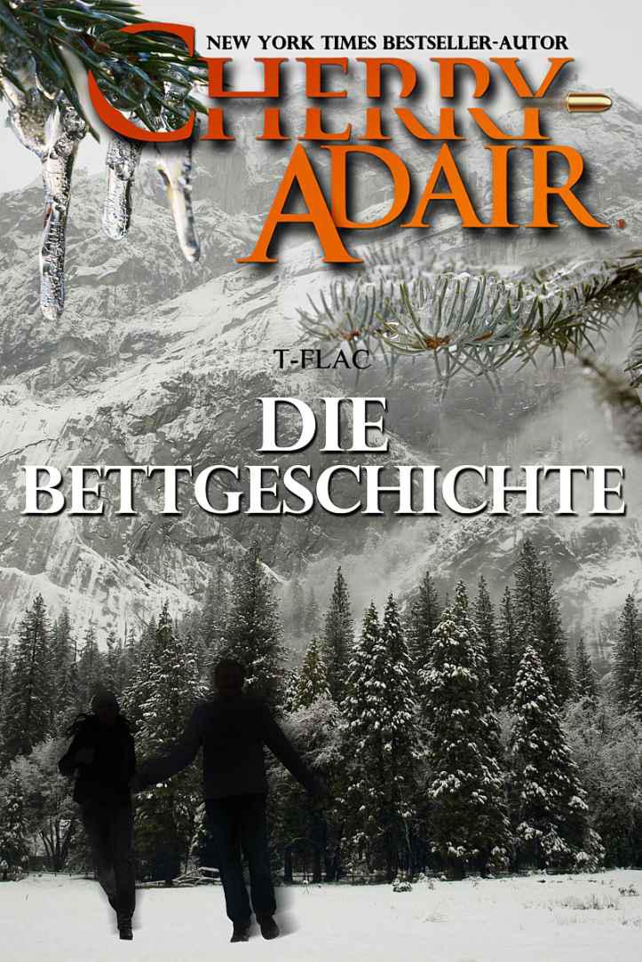 Die Bettgeschichte (T-FLAC) (German Edition)
