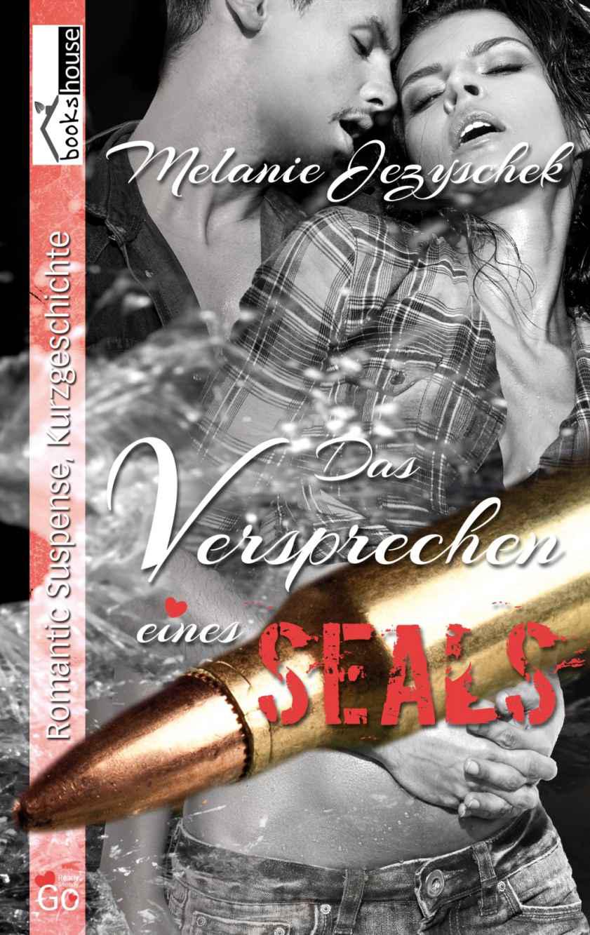 Das Versprechen eines SEALs (German Edition)