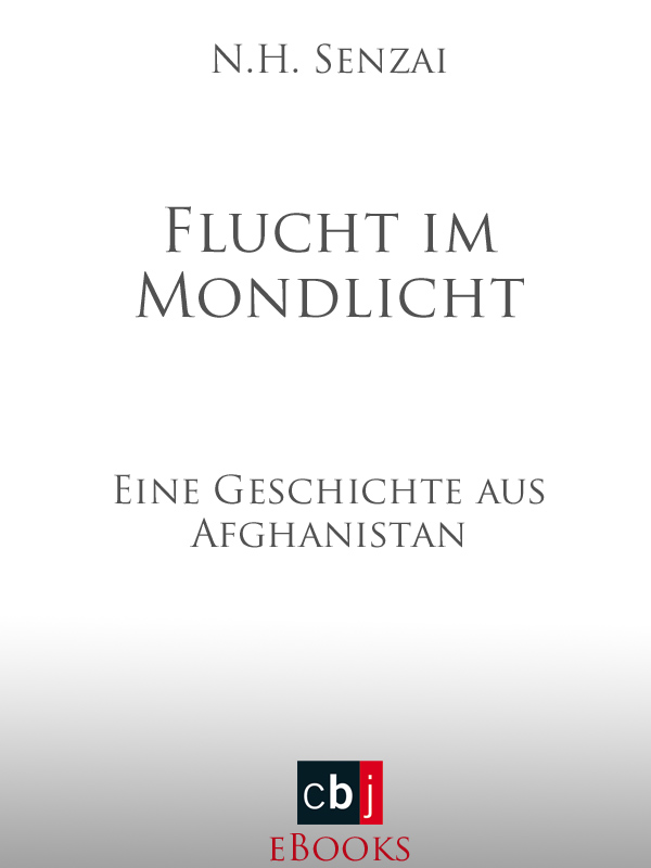 Flucht im Mondlicht