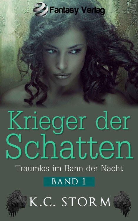 Krieger der Schatten - Traumlos im Bann der Nacht (German Edition)