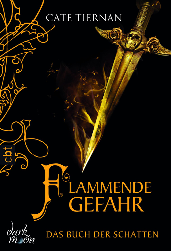 Tiernan, Cate - Das Buch der Schatten 04