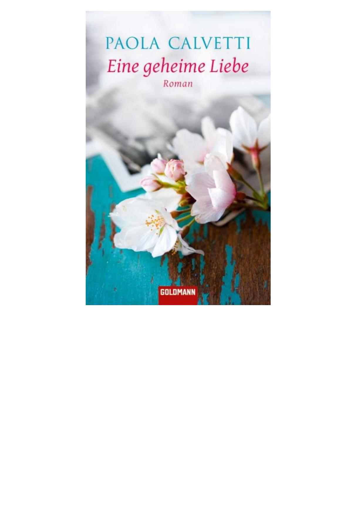 Eine geheime Liebe - Roman