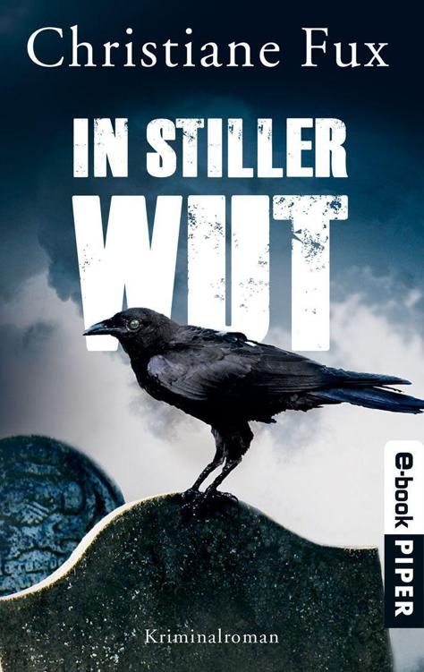 In stiller Wut: Kriminalroman (German Edition)