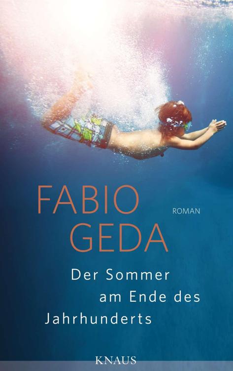Der Sommer am Ende des Jahrhunderts: Roman (German Edition)