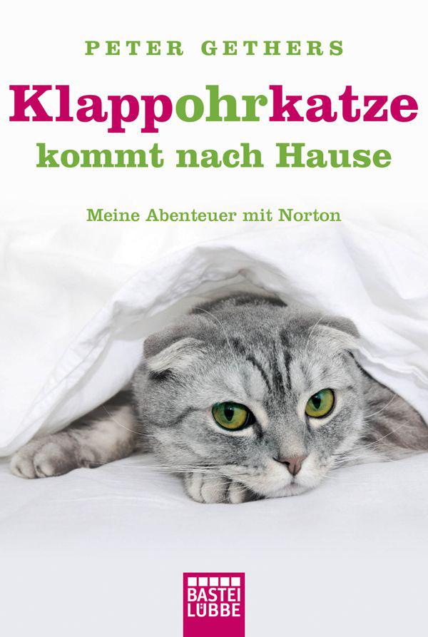 Klappohrkatze kommt nach Hause: Meine Abenteuer mit Norton (German Edition)