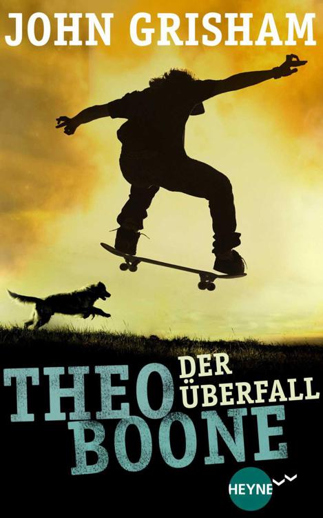 Theo Boone - Der Überfall: Band 4 (Heyne fliegt) (German Edition)