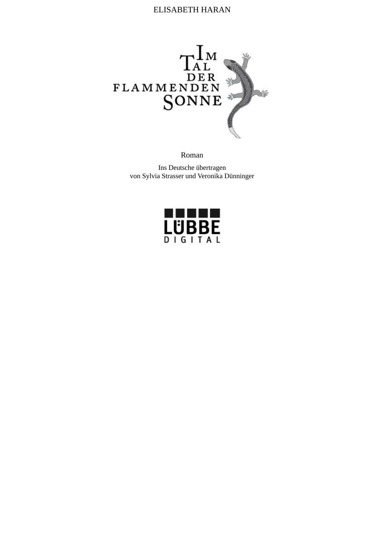 Im Tal der flammenden Sonne - Roman