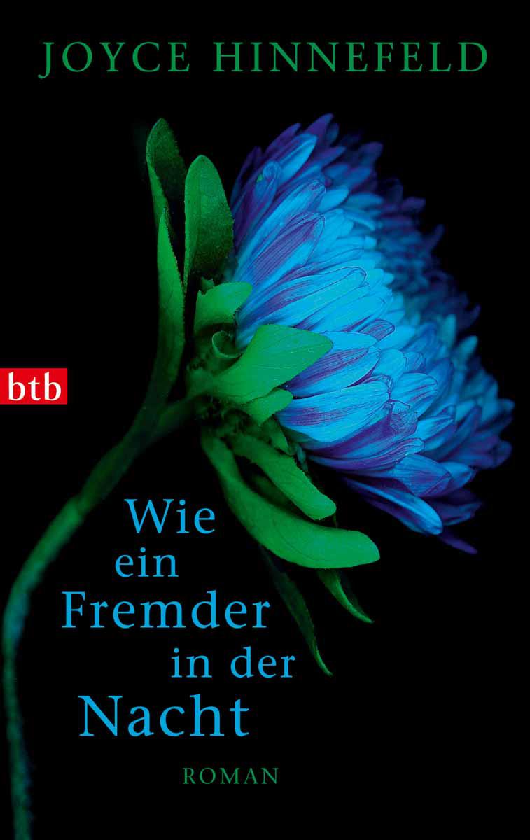 Wie ein Fremder in der Nacht: Roman (German Edition)