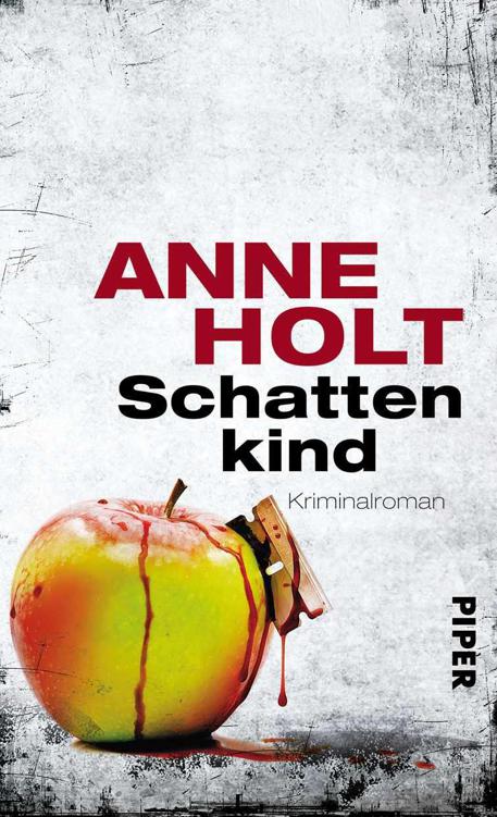 Schattenkind: Kriminalroman (Yngvar Stubø-Reihe) (German Edition)