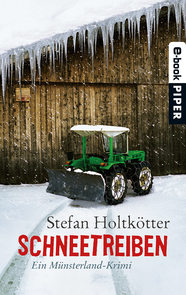Schneetreiben