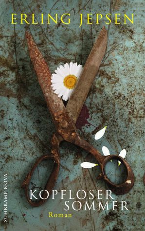 Kopfloser Sommer - Roman