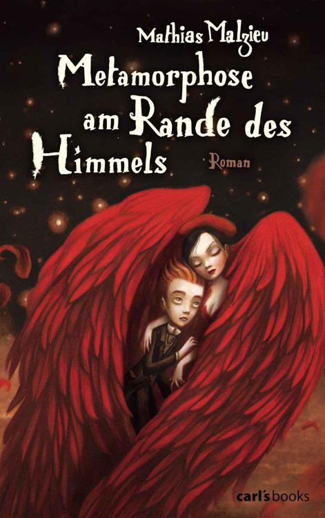 Metamorphose am Rande des Himmels: Roman (German Edition)