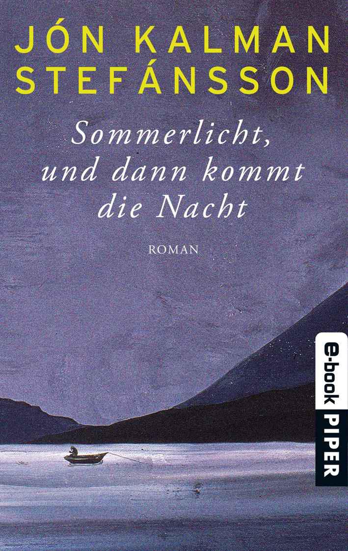 Sommerlicht, und dann kommt die Nacht: Roman