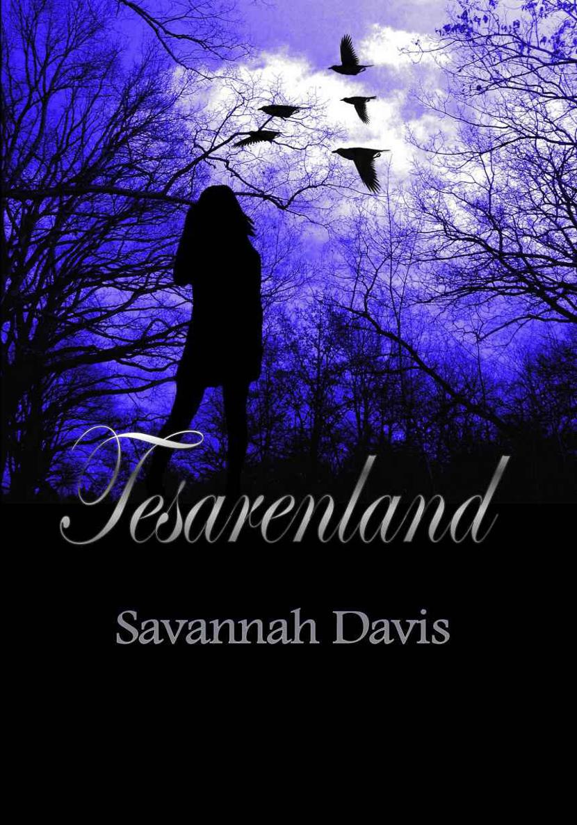 Tesarenland (German Edition)