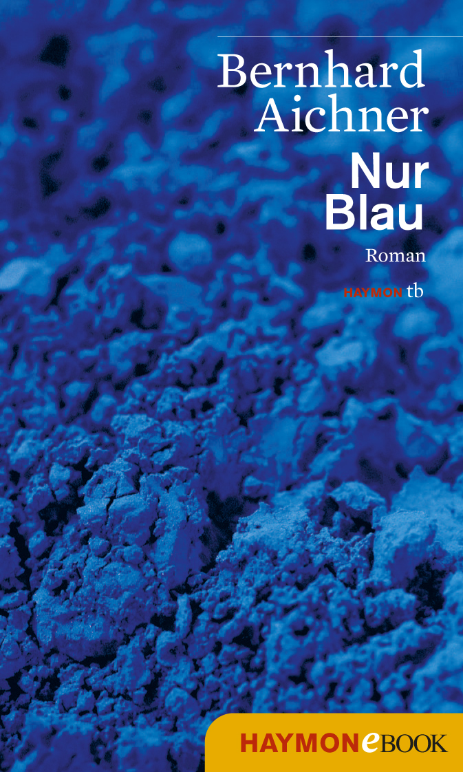 Nur Blau - Roman