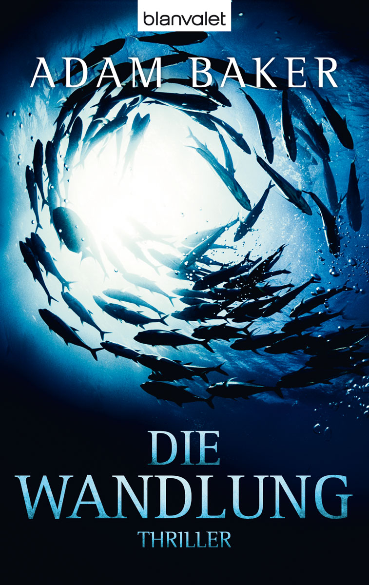 Wandlung
