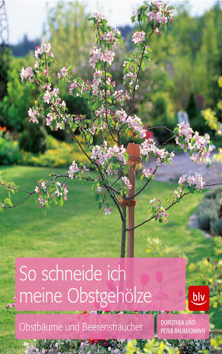 So schneide ich meine Obstgehölze - Obstbäume und Beerensträucher