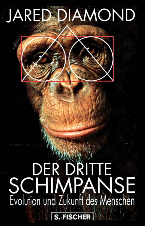 Der dritte Schimpanse