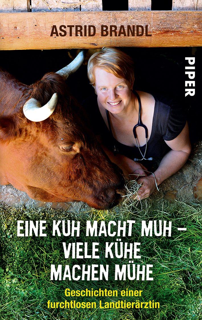 Eine Kuh macht Muh, viele Kühe machen Mühe
