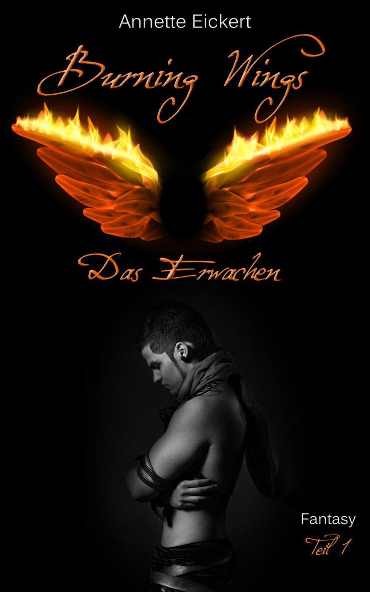 Burning Wings (Das Erwachen) (German Edition)