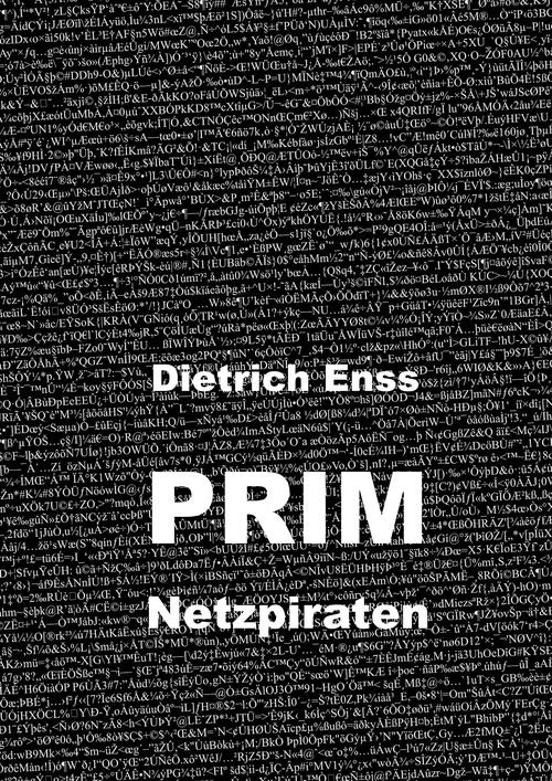 PRIM: Netzpiraten (German Edition)