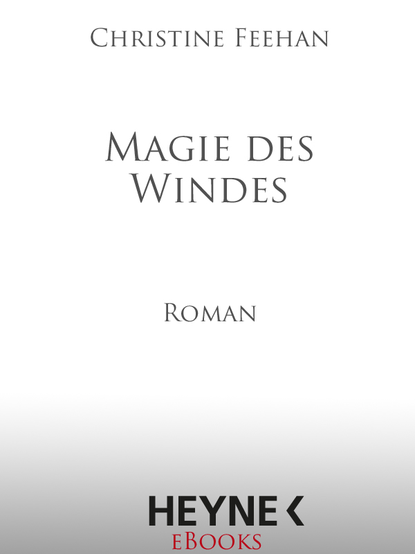 Magie des Windes - Feehan, C: Magie des Windes - Safe Harbor (5 - Hannah)