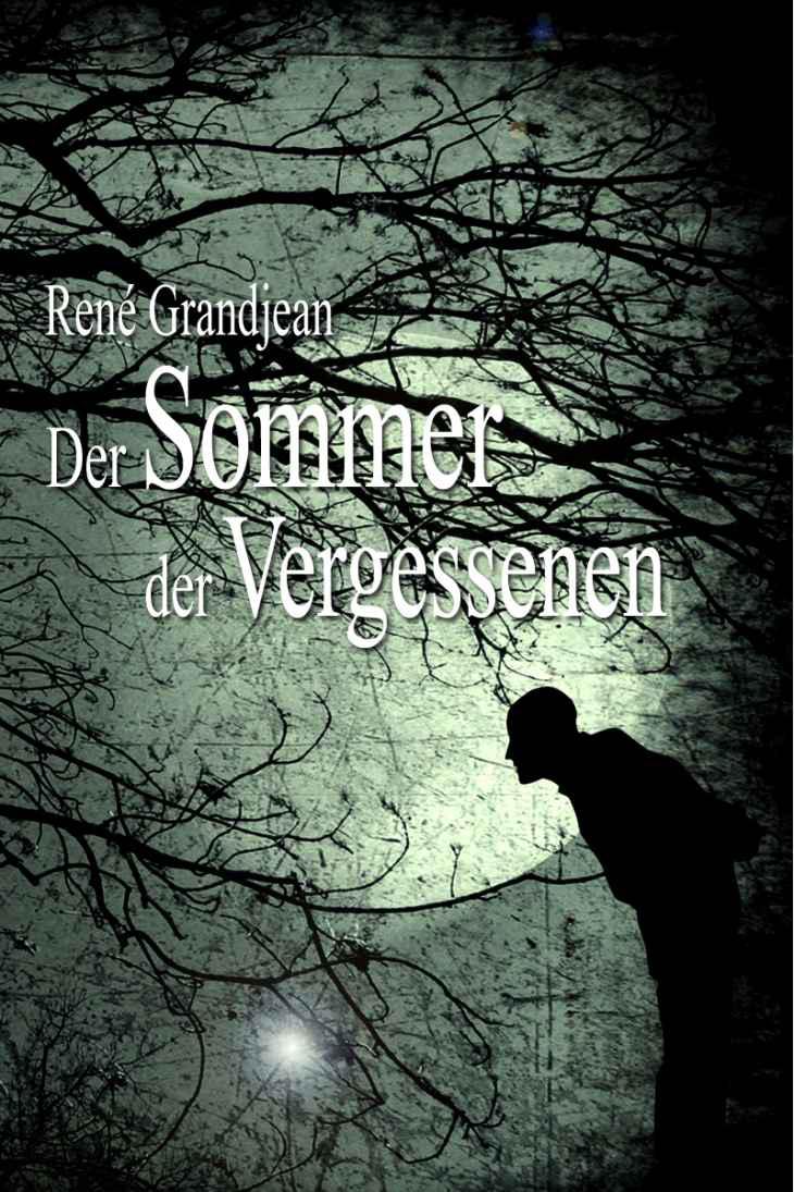 Der Sommer der Vergessenen (German Edition)