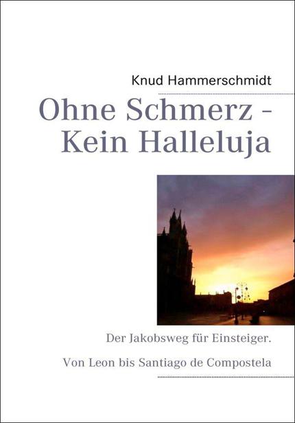 Ohne Schmerz - Kein Halleluja