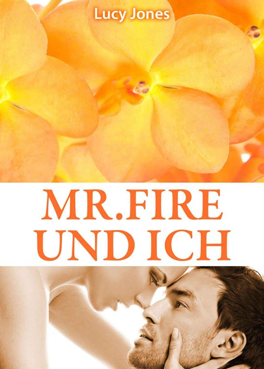 Mr. Fire und ich, Band 4 (German Edition)