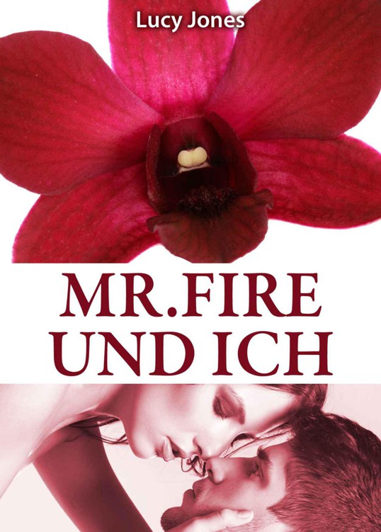 Mr. Fire und ich, Band 5 (German Edition)