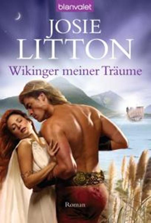 Wikinger meiner Traeume - Roman